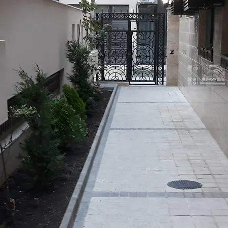 таня 11 * פומורי