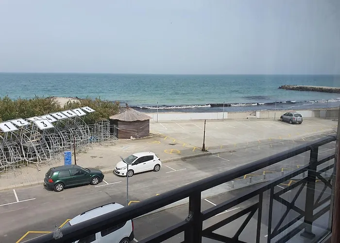 таня 11 포마리